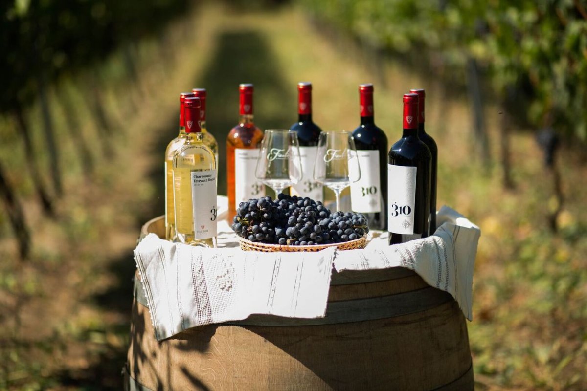 FAUTOR Winery