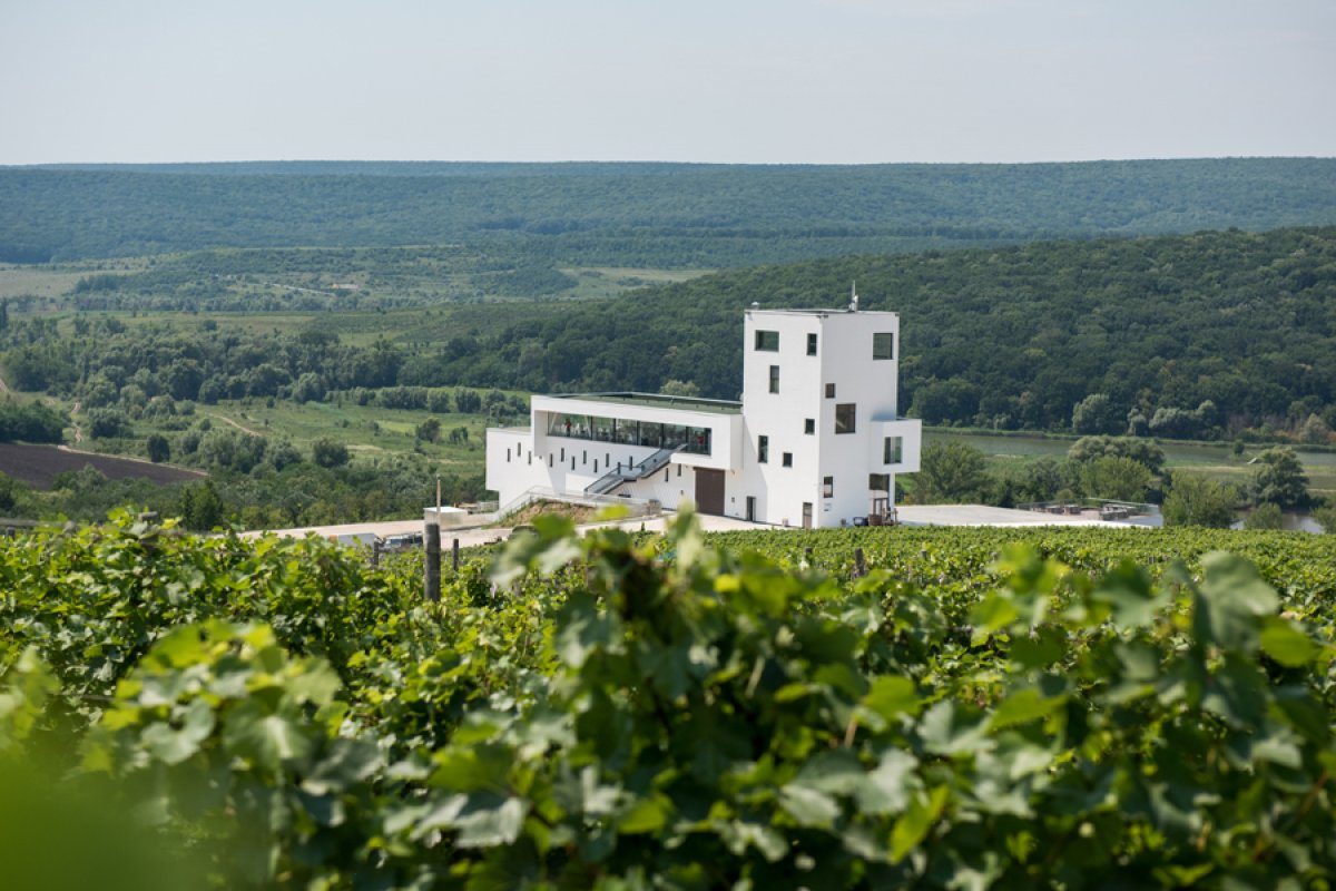 POIANA Winery