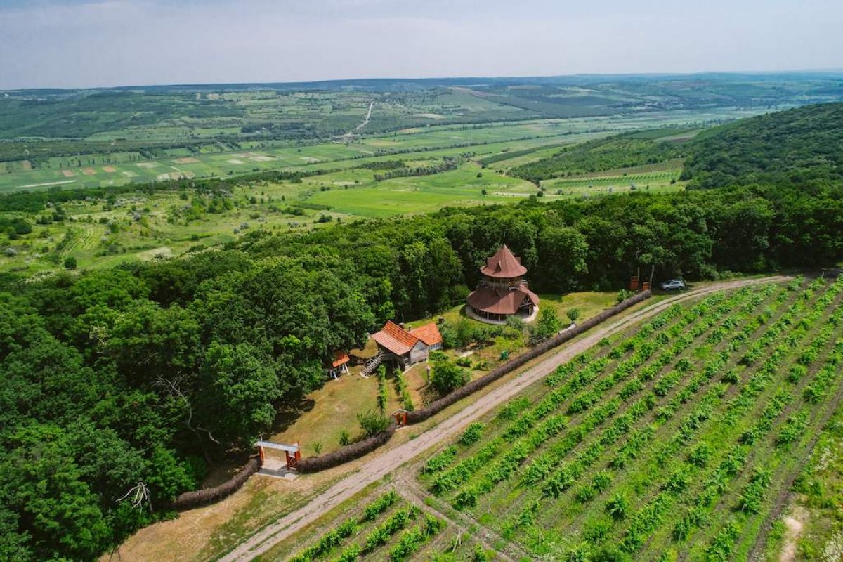 Tudor Winery